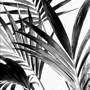 Meet your Posher, Addison